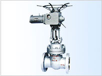 Z41W-16P不锈钢电动闸阀